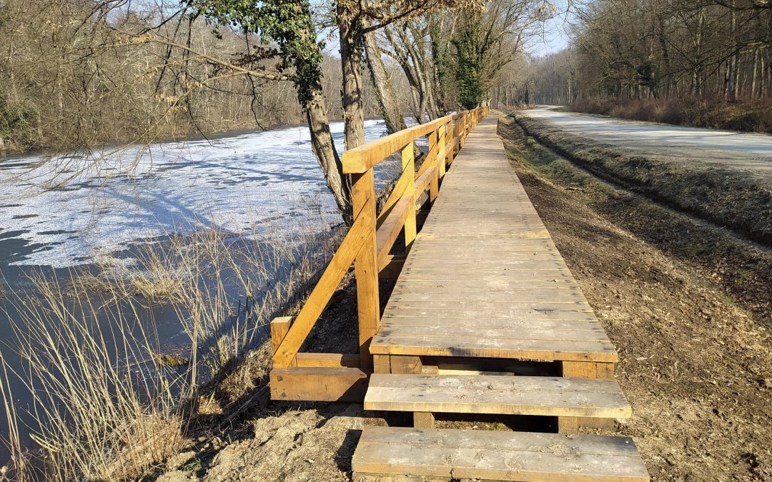 Izgradnja i uređenje šumske povezne poučne staze arheološko nalazište Virgrad – staza Virovi