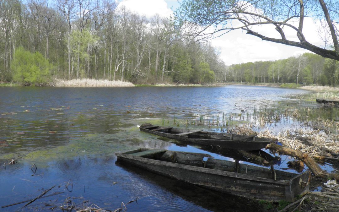 NATURA 2000 MANMON – Natura 2000 management and monitoring