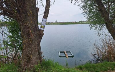 Nastavljamo borbu protiv invazivnih vrsta